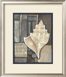 Abalone II