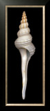 Buy Dupetit's Spindle at AllPosters.com