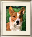 Corgie on the Lawn