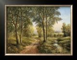 Buy Castle Way at AllPosters.com