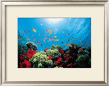 Aquarium