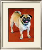 Doug the Pug