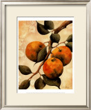 Italian Harvest, Oranges