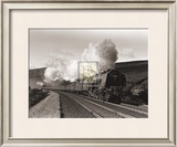 Buy Princess Alice at AllPosters.com