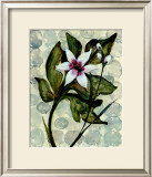 Buy Amazonia IV at AllPosters.com