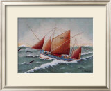 Buy Mathias at AllPosters.com