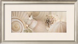 Buy Shells I at AllPosters.com