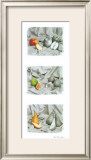 Fruit Trio I
