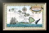 Buy Map of the Hawaiian Islands at AllPosters.com