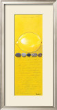 Buy Capecod Lemon at AllPosters.com