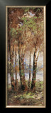 Buy River Birch II at AllPosters.com
