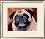 Snaggle Pug