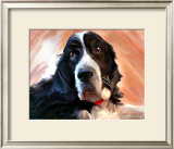 Springer