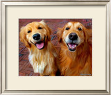 Ginger and Nutmeg