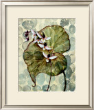 Buy Amazonia II at AllPosters.com