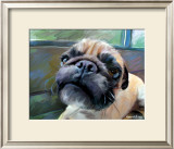 Walrus Pug