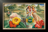 Buy Hawaii USA at AllPosters.com