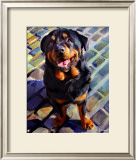 Handsome Rottie