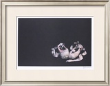 Buy Ballet Slippers at AllPosters.com