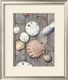 Seashore Treasure II