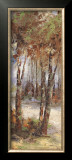 Buy River Birch I at AllPosters.com