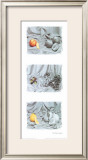 Fruit Trio II