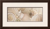 Buy Shells I at AllPosters.com