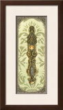 Elegant Escutcheon II