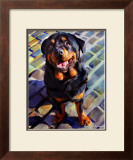 Handsome Rottie