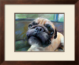 Walrus Pug