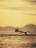 View of Humpback Whale Tail and Fishing Boat, Inside Passage, Alaska, USA