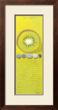 Buy Capecod Kiwi at AllPosters.com