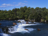 Buy Group of Brown Bears Fishing in Brooks River, Katmai National Park, Alaska, USA at AllPosters.com