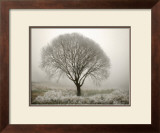 Tranquility II