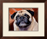 Snaggle Pug