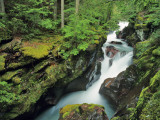 Avalanche Gorge, Glacier National Park, Montana, USA