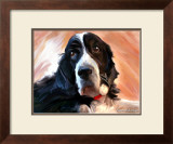 Springer