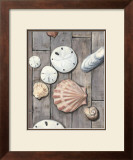 Seashore Treasure II