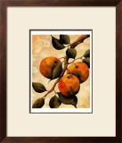 Italian Harvest, Oranges