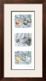 Fruit Trio II