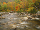Buy Swift River Flowing Trough Forest in Autumn, White Mountains National Forest, New Hampshire, USA at AllPosters.com