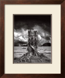 Buy Stumped at AllPosters.com