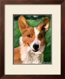 Corgie on the Lawn