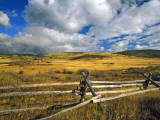 Mount Haggin Nwr Near Anaconda, Montana, USA