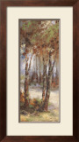 Buy River Birch I at AllPosters.com