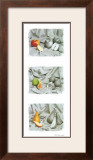 Fruit Trio I
