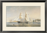 Buy The Kestrel, R.Y.S. at AllPosters.com