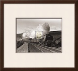 Buy Princess Alice at AllPosters.com