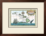 Buy Map of the Hawaiian Islands at AllPosters.com