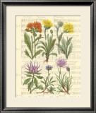 Buy Allegro II at AllPosters.com